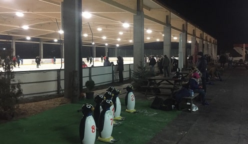 Lodowisko Szczecin - Lodogryf - zdjęcie3